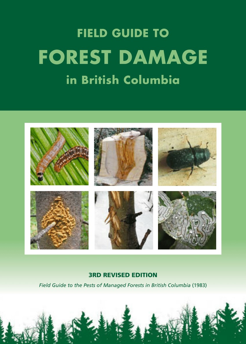 Field Guide To Forest Damage In British Columbia 3rd Jennifer Burleigh