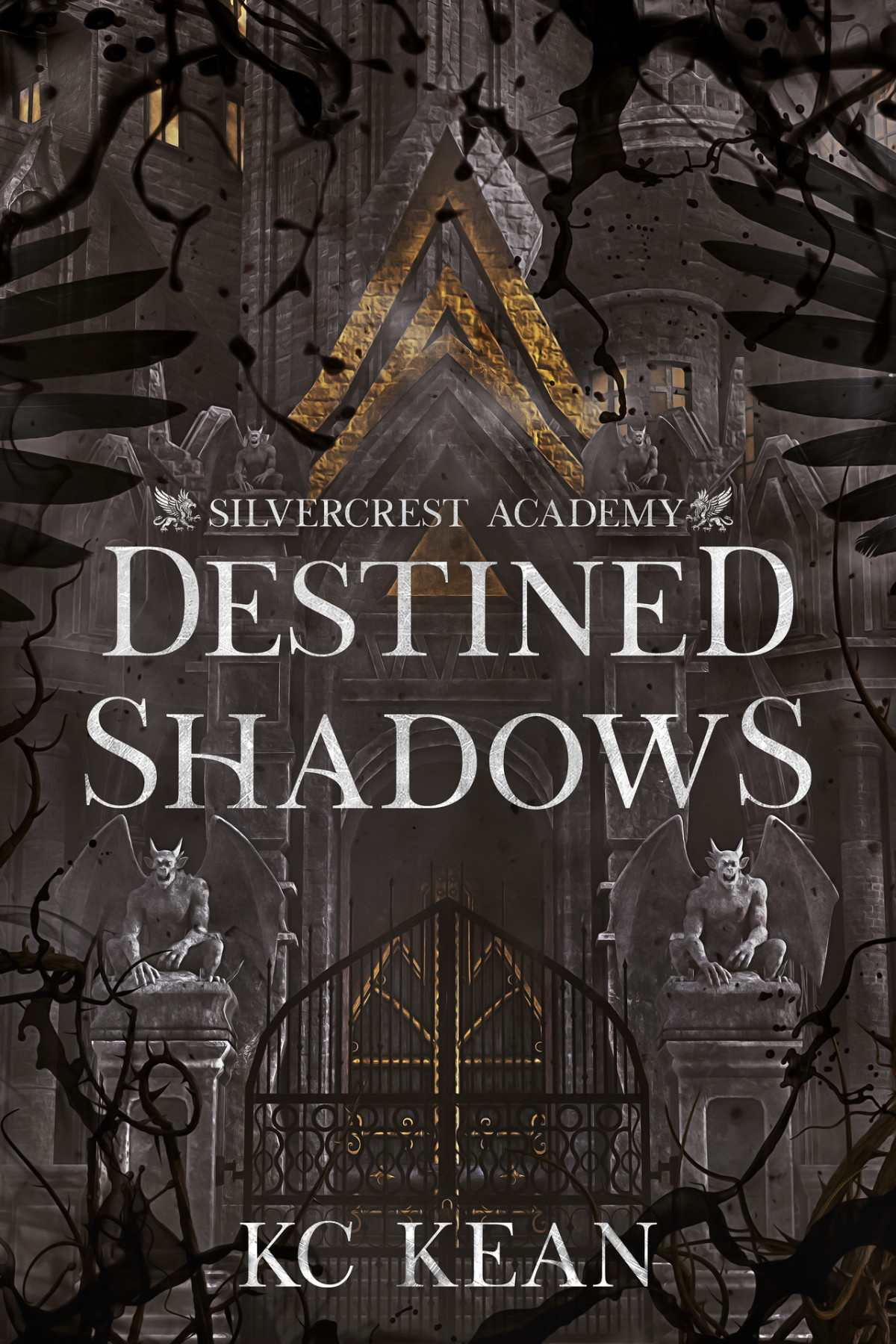 Destined Shadows 1st Edition Kc Kean