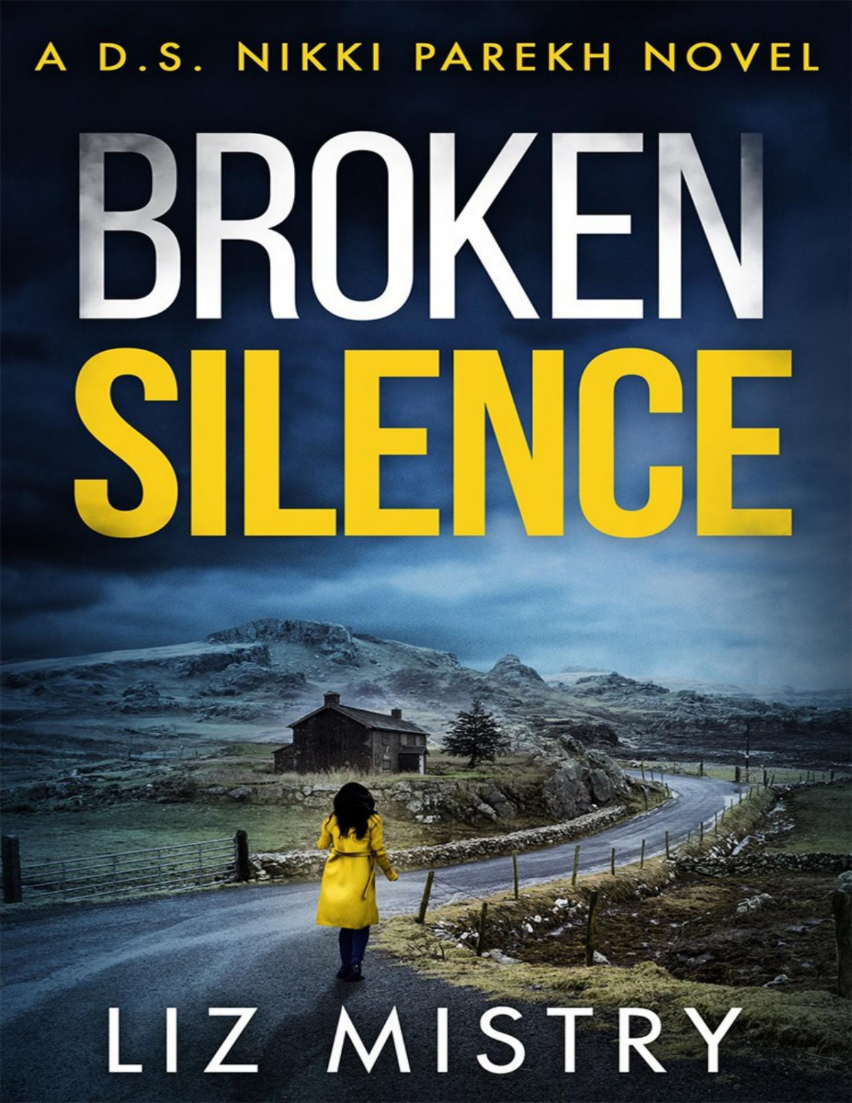 Broken Silence Liz Mistry