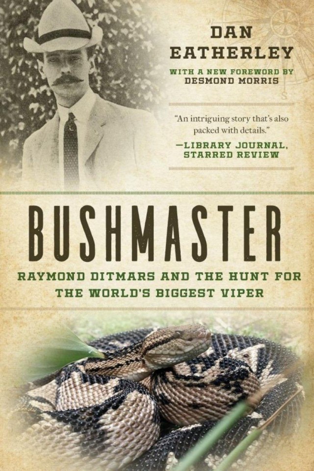 Bushmaster Raymond Ditmars And The Hunt For The Worlds Largest Viper Dan Eatherley