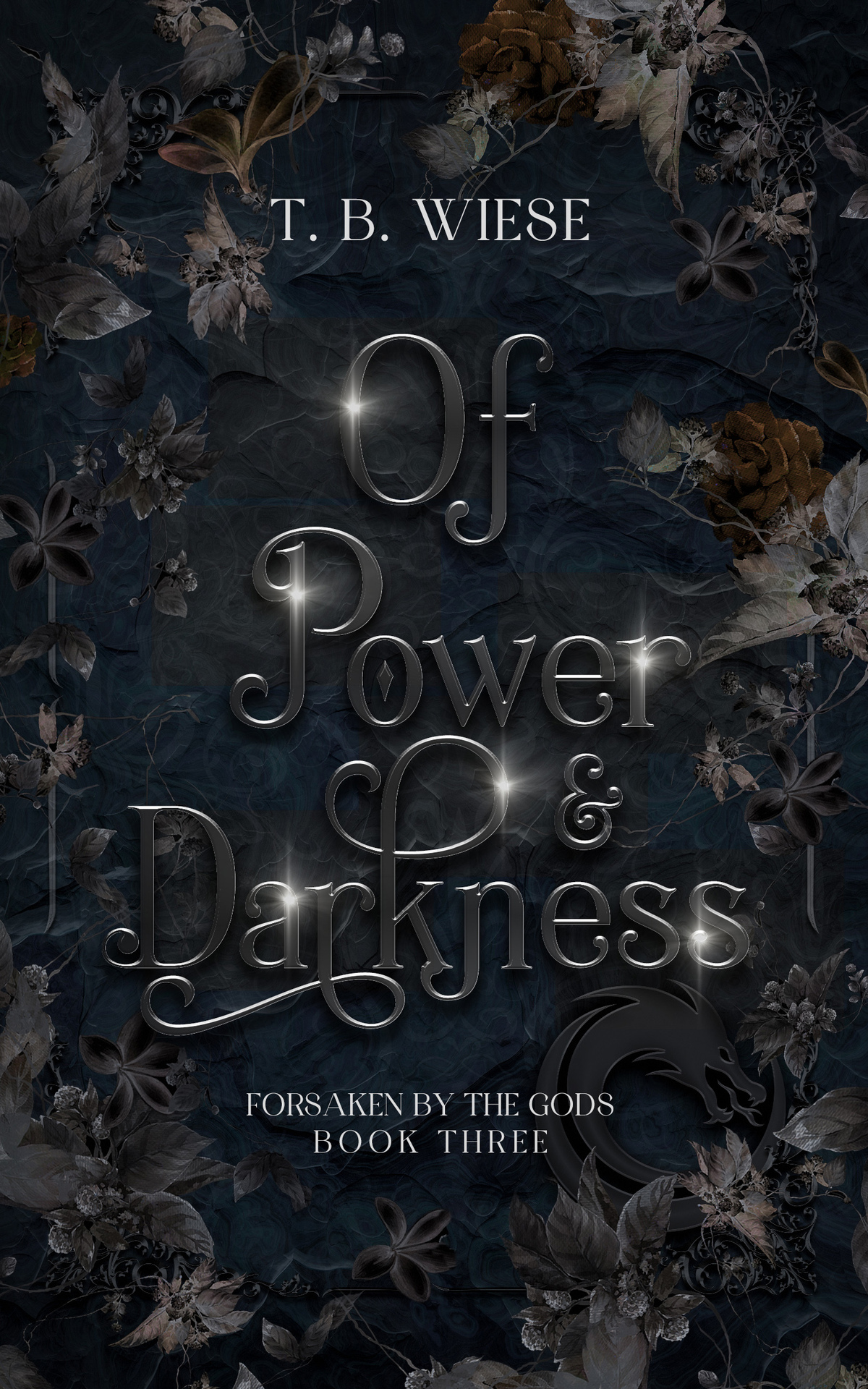 Of Power Darkness Forsaken By The Gods Book 3 Wiese T B