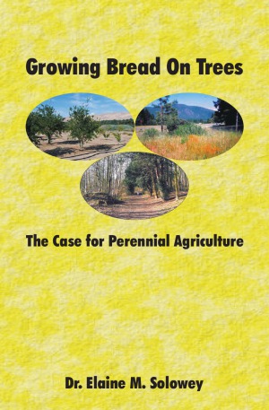 Growing Bread On Trees The Case For Perennial Agriculture Dr Elaine M Solowey