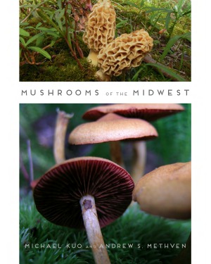 Mushrooms Of The Midwest Michael Kuo And Andrew S Methven