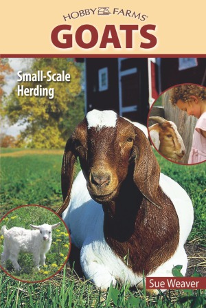 Goats Smallscale Herding Sue Weaver