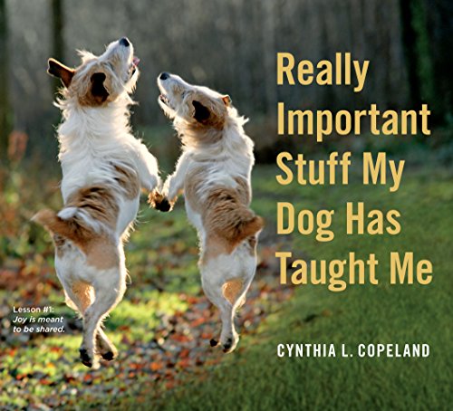 Really Important Stuff My Dog Has Taught Me Cynthia L Copeland