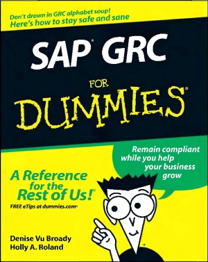 Sap Grc For Dummies Denise Vu Broady Holly A Roland