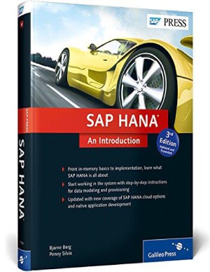 Sap Hana An Introduction Bjarne Berg Penny Silvia