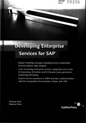 Developing Enterprise Services For Sap Thomas Pohl