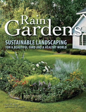 Rain Gardens Sustainable Landscaping For A Beautiful Yard And A Healthy World Lynn M Steiner