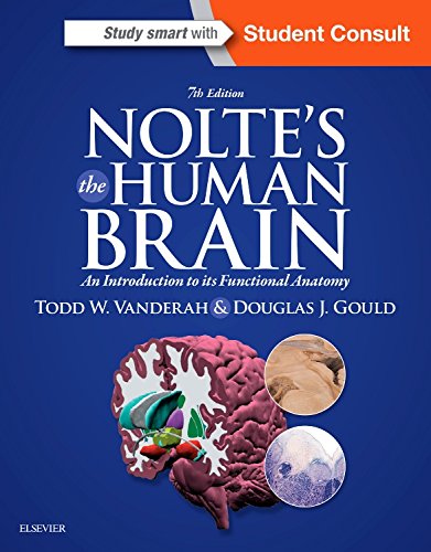 Noltes The Human Brain An Introduction To Its Functional Anatomy 7th Edition Todd Vanderah