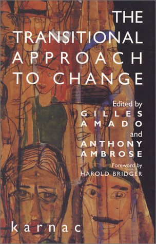 The Transitional Approach To Change Gilles Amado Anthony Ambrose
