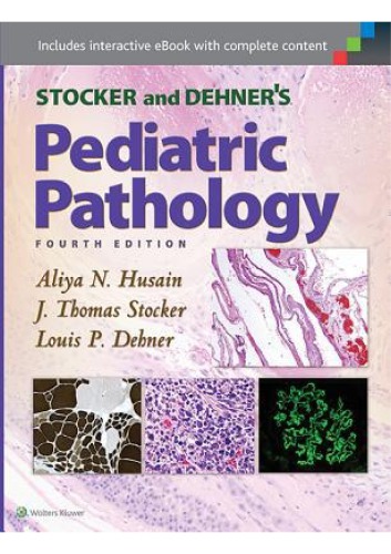 Stocker And Dehners Pediatric Pathology 4th Edition Aliya N Husain