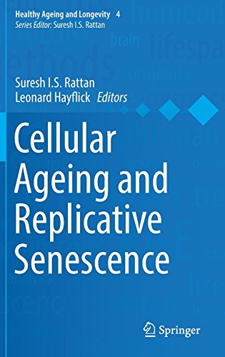 Cellular Ageing And Replicative Senescence 1st Edition Suresh Is Rattan