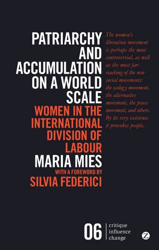 Patriarchy And Accumulation On A World Scale Women In The International Division Of Labour 3rd Edition Maria Mies