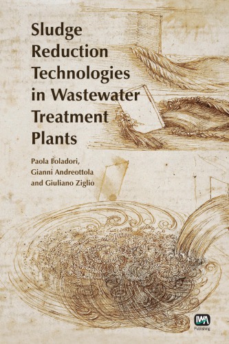 Sludge Reduction Technologies In Wastewater Treatment Plants Foladori