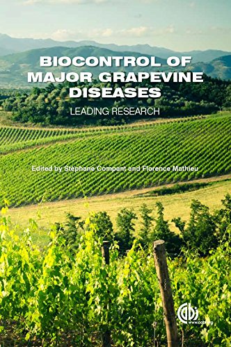 Biocontrol Of Major Grapevine Diseases Leading Research Compant