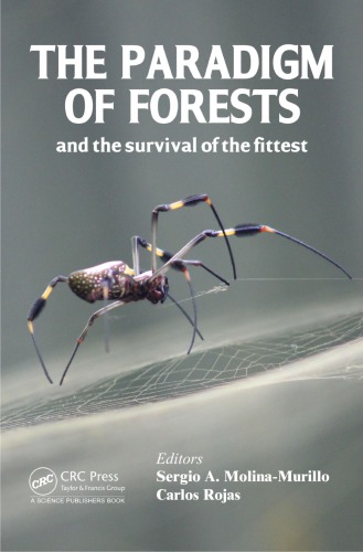 The Paradigm Of Forests And The Survival Of The Fittest Molinamurillo