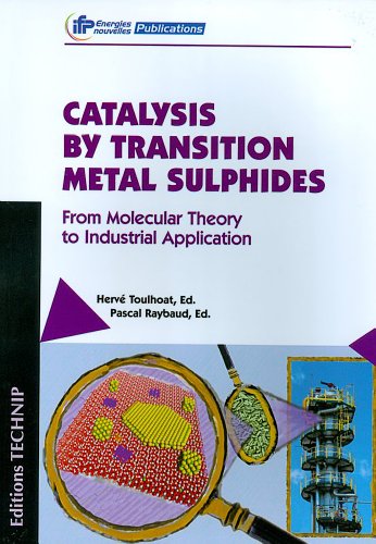 Catalysis By Transition Metal Sulphides From Molecular Theory To Industrial Application Raybaud