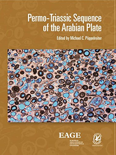 Permotriassic Sequence Of The Arabian Plate Pppelreiter Michael