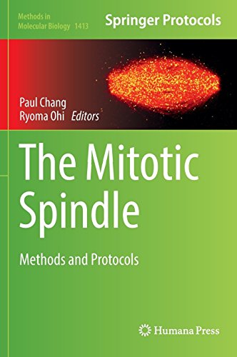The Mitotic Spindle Methods And Protocols Paul Chang Ryoma Ohi