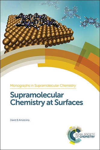 Supramolecular Chemistry At Surfaces David B Amabilino Philip Gale