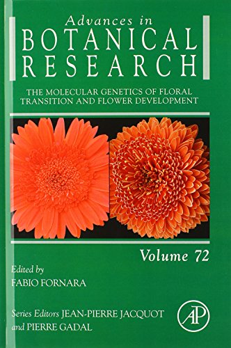 The Molecular Genetics Of Floral Transition And Flower Development 1st Edition Fornara