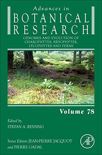 Genomes And Evolution Of Charophytes Bryophytes Lycophytes And Ferns First Edition Rensing