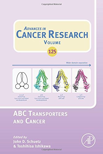 Abc Transporters And Cancer First Edition Ambudkar Suresh V Ishikawa