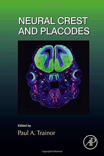 Neural Crest And Placodes First Edition Trainor Paul A