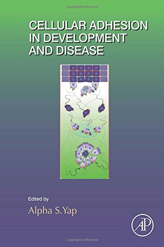 Cellular Adhesion In Development And Disease 1st Edition Yap