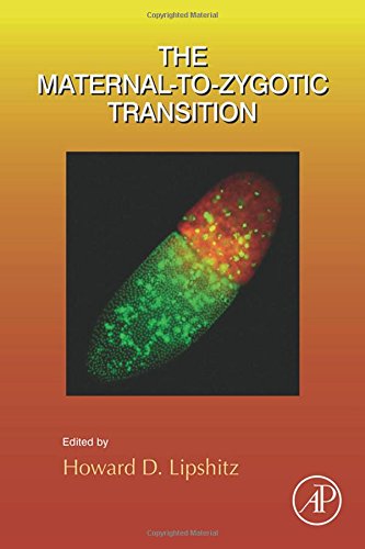 The Maternaltozygotic Transition 1st Edition Lipshitz Howard D