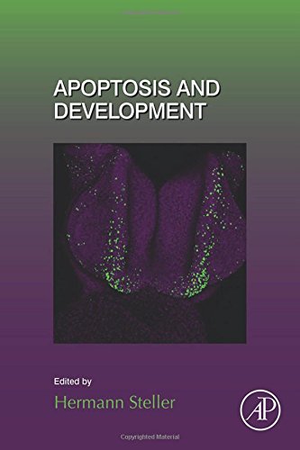 Apoptosis And Development First Edition Steller Hermann
