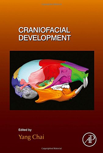 Craniofacial Development First Edition Chai Yang