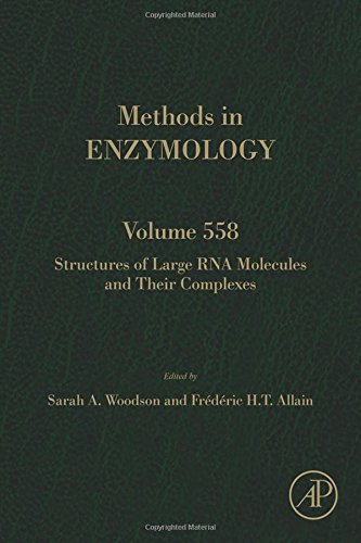 Structures Of Large Rna Molecules And Their Complexes First Edition Allain