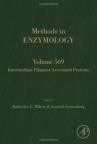 Intermediate Filament Associated Proteins First Edition Sonnenberg