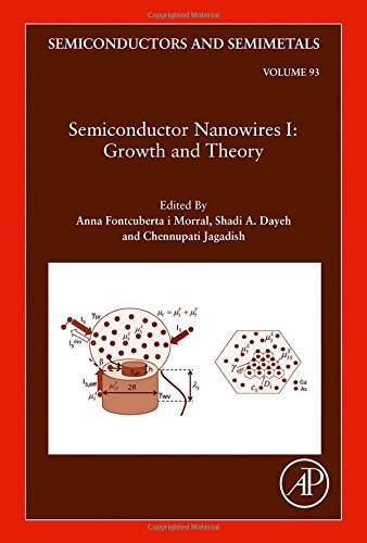 Semiconductor Nanowires I Growth And Theory 1st Edition Dayeg