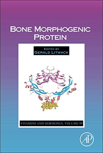 Bone Morphogenic Protein First Edition Litwack Gerald