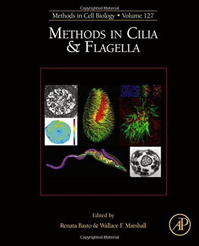 Methods In Cilia Flagella 1st Edition Basto Renata Marshall