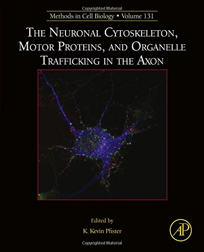The Neuronal Cytoskeleton Motor Proteins And Organelle Trafficking In The Axon First Edition Pfister