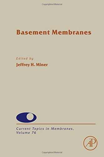 Basement Membranes First Edition Miner Jeffrey H