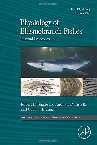 Physiology Of Elasmobranch Fishes Internal Processes 1st Edition Robert E Shadwick