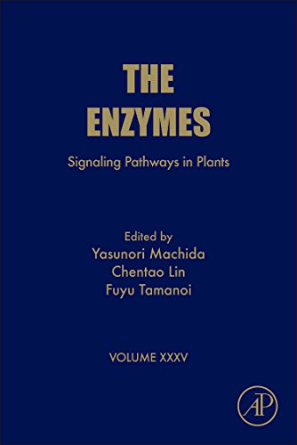 Signaling Pathways In Plants First Edition Yasunori Machida Chentao Lin