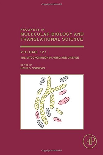 The Mitochondrion In Aging And Disease 1st Edition Osiewacz Heinz D