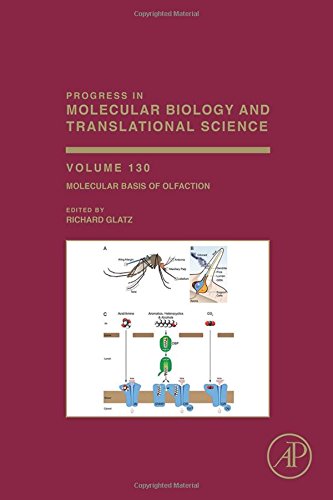 Progress In Molecular Biology And Translational Science Volume 130 Molecular Basis Of Olfaction First Edition Glatz