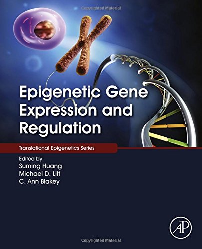 Epigenetic Gene Expression And Regulation 1st Edition Suming Huang