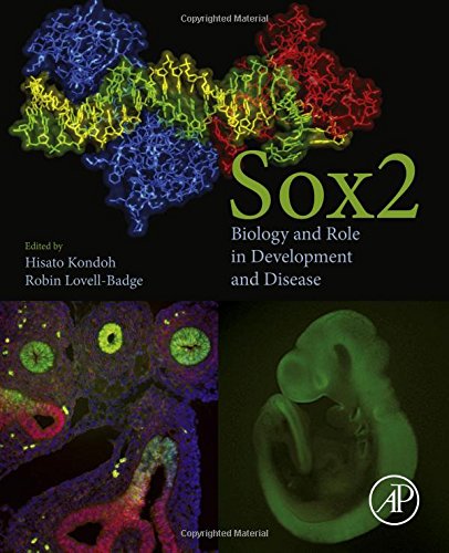Sox2 Biology And Role In Development And Disease 1st Edition Kondoh
