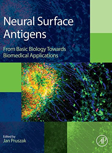 Neural Surface Antigens From Basic Biology Towards Biomedical Applications 1st Edition Pruszak