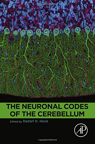 The Neuronal Codes Of The Cerebellum 1st Edition Heck Detlef H