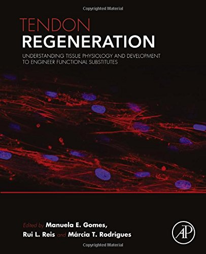 Tendon Regeneration Understanding Tissue Physiology And Development To Engineer Functional Substitutes 1st Edition Manuela E Gomes