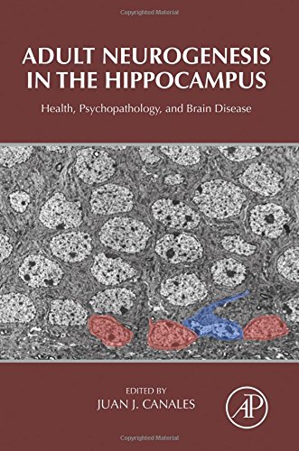 Adult Neurogenesis In The Hippocampus Health Psychopathology And Brain Disease 1st Edition Canales